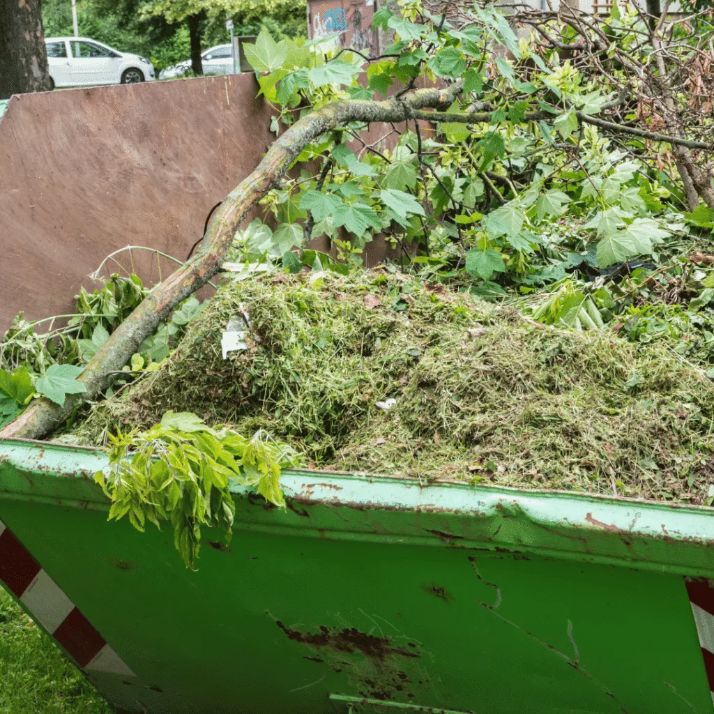 Benne remplie de tailles de haies et de branchages